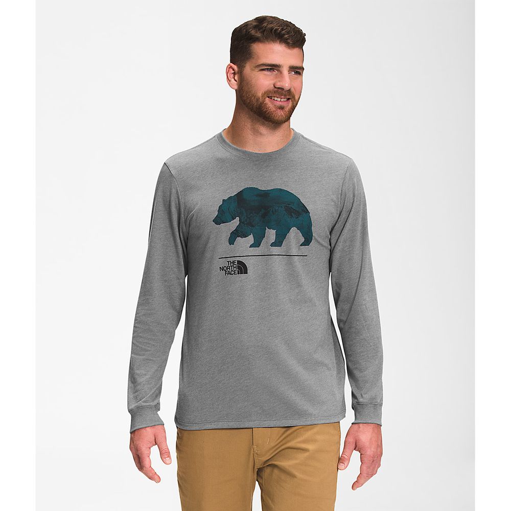 The North Face Long Sleeve Mens Australia - The North Face Bearscape Grey (HWV-678941)